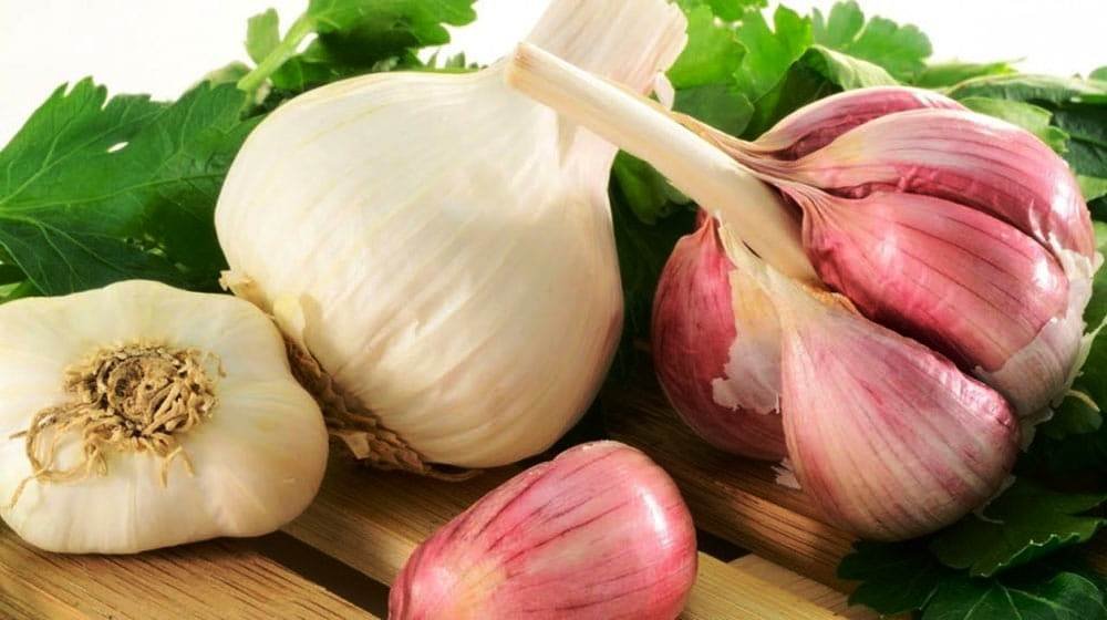 G1 Garlic Benefits and Its Side Effects