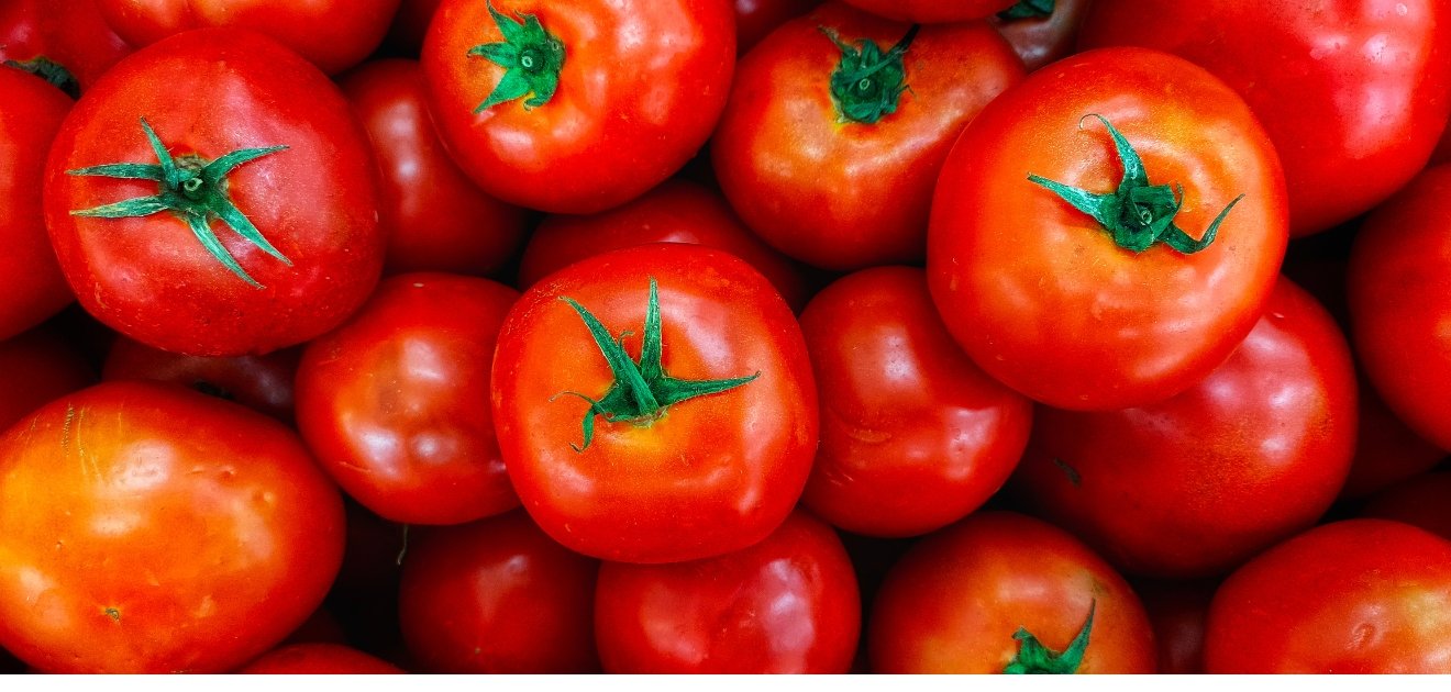 Why Tomato Was Considered Poisonous